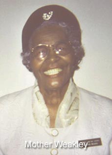 mother-board_mother-weakley